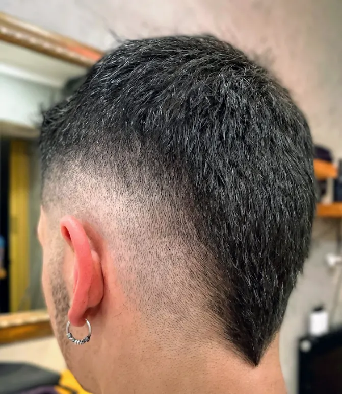 Cortes barberiaalabama